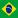 Brazil players, news and schedule