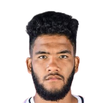 P. Magallanes